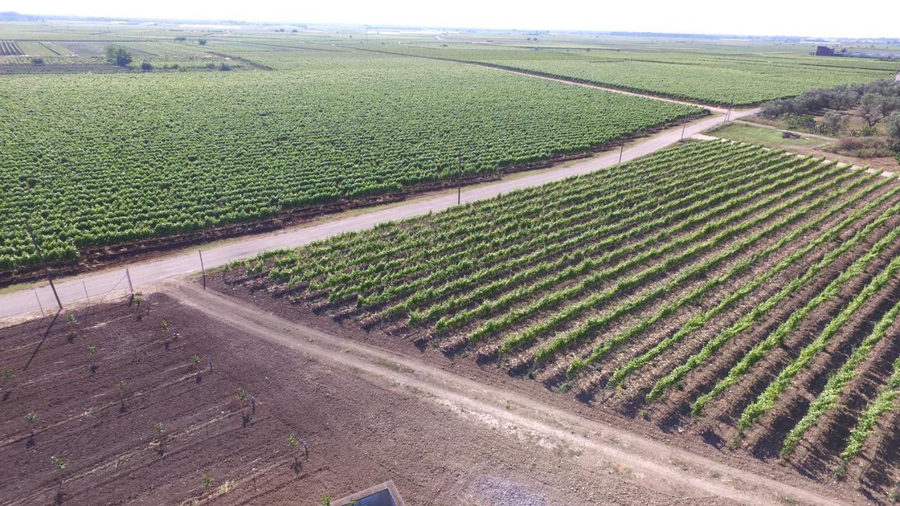 Terra Di Negroamaro Βίλα Leverano Εξωτερικό φωτογραφία